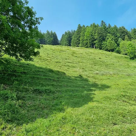 Schoene Aussicht - Familie Kitzbichler