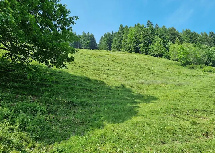 Schoene Aussicht - Familie Kitzbichler